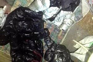 Hey, puffy domination 3 with that gay vibe! 😏