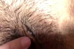 Today's intense cumshot features an Asian wife getting her hairy pussy and ass fucked hard in close-up