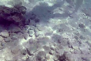 German Teen Flashes On The Beach