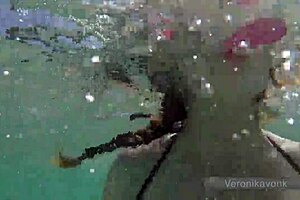 German Teen Flashes On The Beach