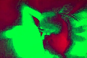 In Sims 4, Nosferatu turns three whores into vampire brides