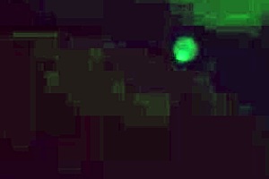 Expert relaxation with a surprising gay twist tonight