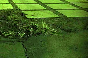 Extreme B Compilation Xxx Unless Youre From The Sixties And