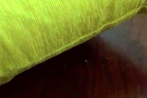 Encounter With Best Friend's Woman