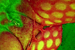 Angelg And Kuzz Halloween Special Part 2 - Fat BBW Couple Interracial Monster Cock