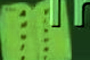 Receptionist Bent Over Taking It Doggy from Coach in Office