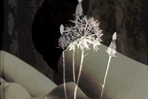 Talking about Dark Lantern's vintage erotic confessions of Victorian gentleman.