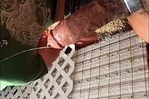 El ancla enjoys fun activities