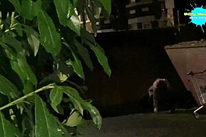 cracky shows off her natural tits in a sexy homemade scene