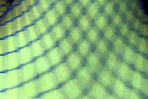 Hot Wife Dancing Funk With Cock Stuck In Pussy