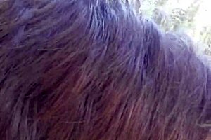 Petite latina sucks huge cock and swallows cum?