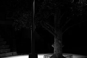 Musik Luv Magick - Cel-Shaded Anime Style - Episode One Twl Revamp Sfw