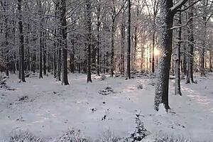 Beautiful Experienced Woman Achieves Two Orgasms From Strong Cock In Pussy