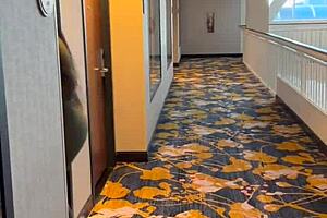 Horny Milf Charlotte Lavish Invites Lil D For Anal Casting