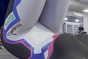 i'm d va and i'm gonna train you real good, but uh, i mean, fuck you hard or something