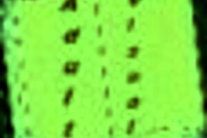 Summertime Saga Adventure Scene