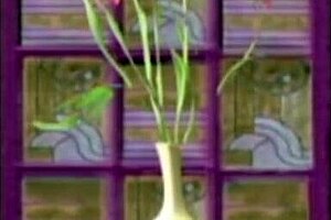 vukmagit f gets a blowjob from young guy