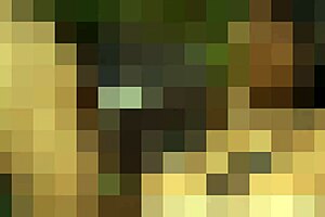 She straps on a big toy to fuck your ass in this femdom scene