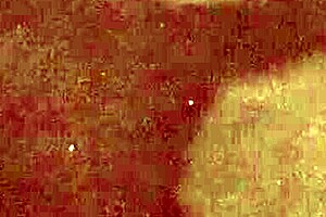 Wow, Check Out This Vintage Erotic Animation Classic!