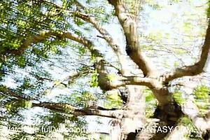 Farmer twink jerks and sucks dick in the farm, with dirty talk and spanking