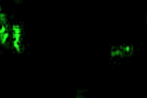 vintage erotic illustrations bring retro fantasies to life