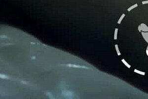 The Character Seeks Pleasure With Various Partners