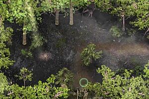 Complete Gameplay - Lust Epidemic Part 21!