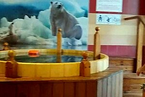 i'm flashing and masturbating riskily in public spa