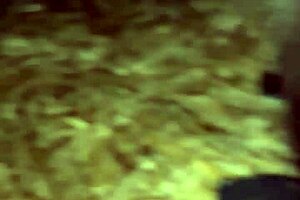 me follo a una desconocida en publico a las afueras de la ciudad