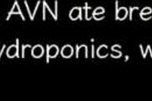 stranded in space 24 meeting a shy emo girl