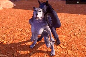 alpha wolf devours the delicious she-wolf in wild life adventure