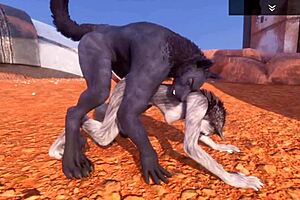 alpha wolf devours the delicious she-wolf in wild life adventure