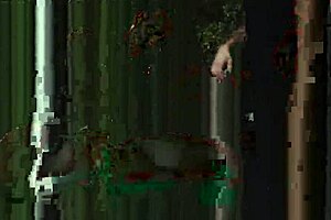 I watch gay sex on live tv with the homie sucking easy