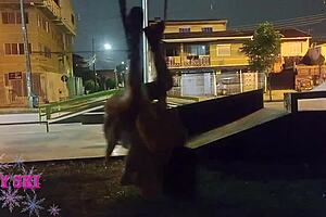 my friends took me to explore the wild square