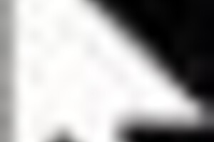 近衛騎士ウェイン　②