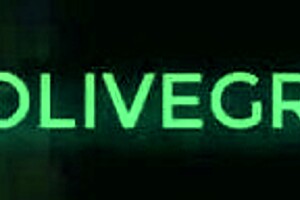 Riley Reid In Cartoon Hentai Blowjob