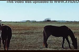 oklahoma farm sex in a music video with crossdressing 😏