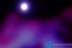 Riley Reid In Cartoon Hentai Blowjob