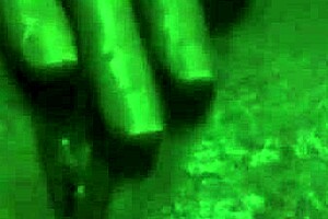 Harley Quinn Hard Fuck Compilation