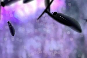 High School DxD Season 1 Episode 01 HD Hentai