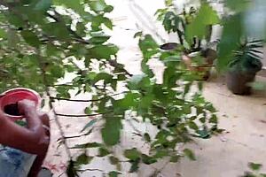 She Didn't Know Her Neighbor Had A Bbc And Loved Anal Sex