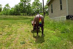 43yo wife's anus compilation, huge cum included?