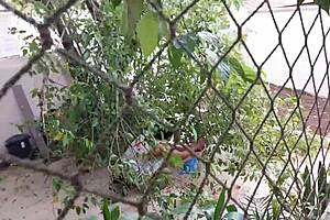 She Didn't Know Her Neighbor Had A Bbc And Loved Anal Sex