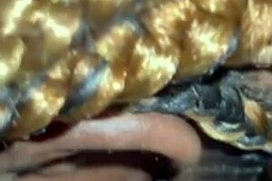 Bigass Milf Fucks Ex Boyfriend