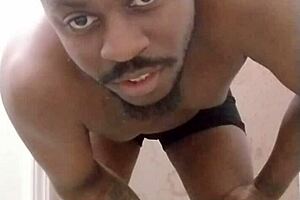 returning to make a mess in a different room like a scorpio wolf and pet dog