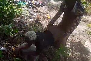 Ebony Beauty Delivers The Best Blowjob With Passionate Technique