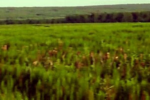 I can't believe I'm sucking my friend's big cock in public like a slut, swallowing every drop.