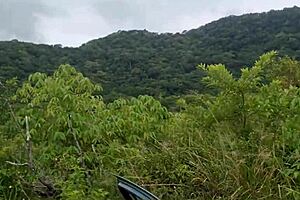 We drove down the street during the day and got steamy in the car