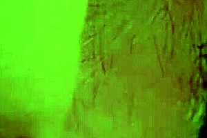 tight step sibling asshole homemade