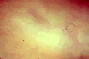 Novice lingerie model pays with tight virgin ass